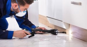 how much does pest control cost