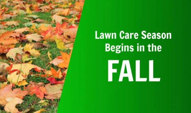 lawn care